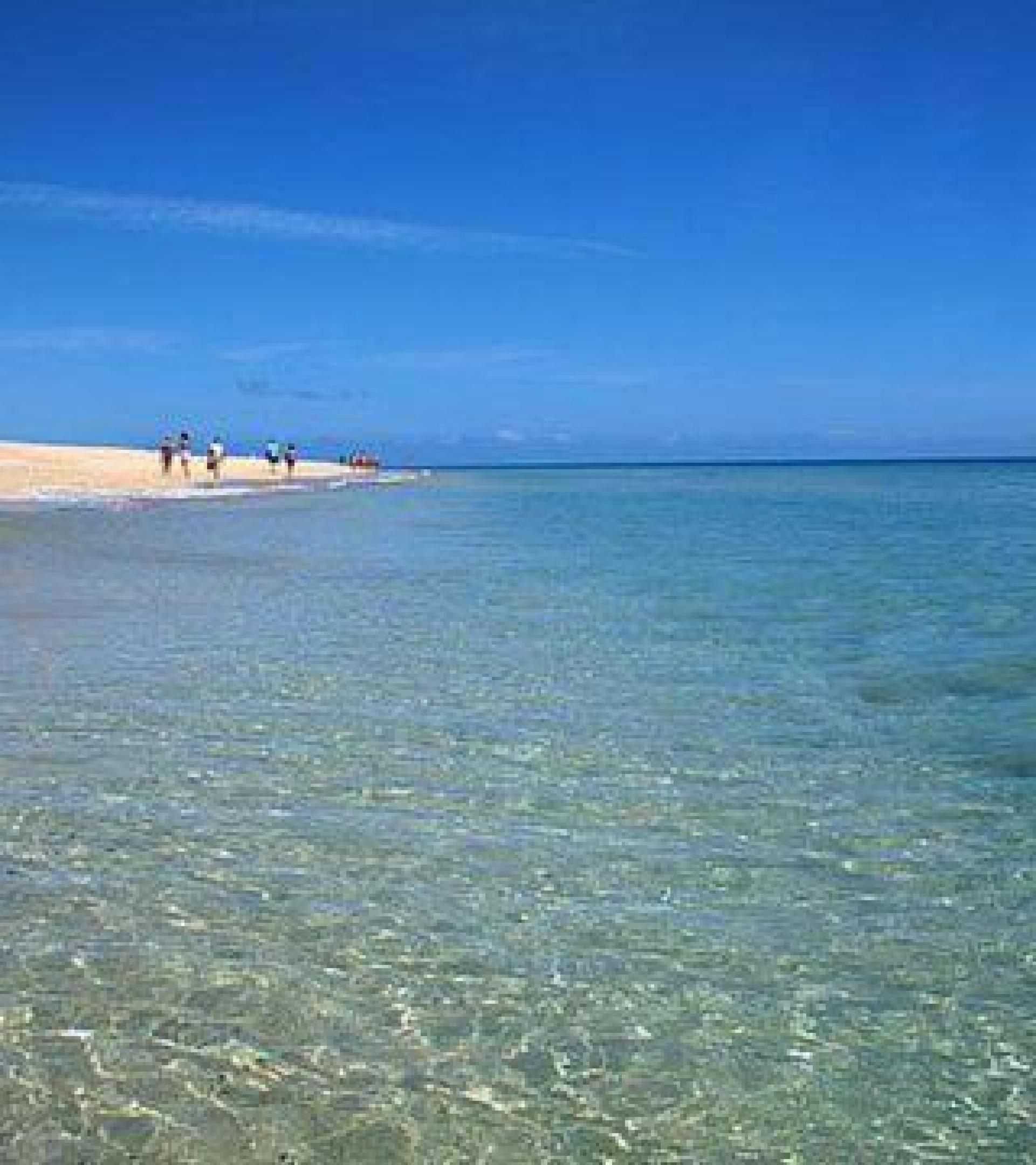 LOVELY APARTMENT VERY CLOSE TO THE BEACH JUNCOS 11