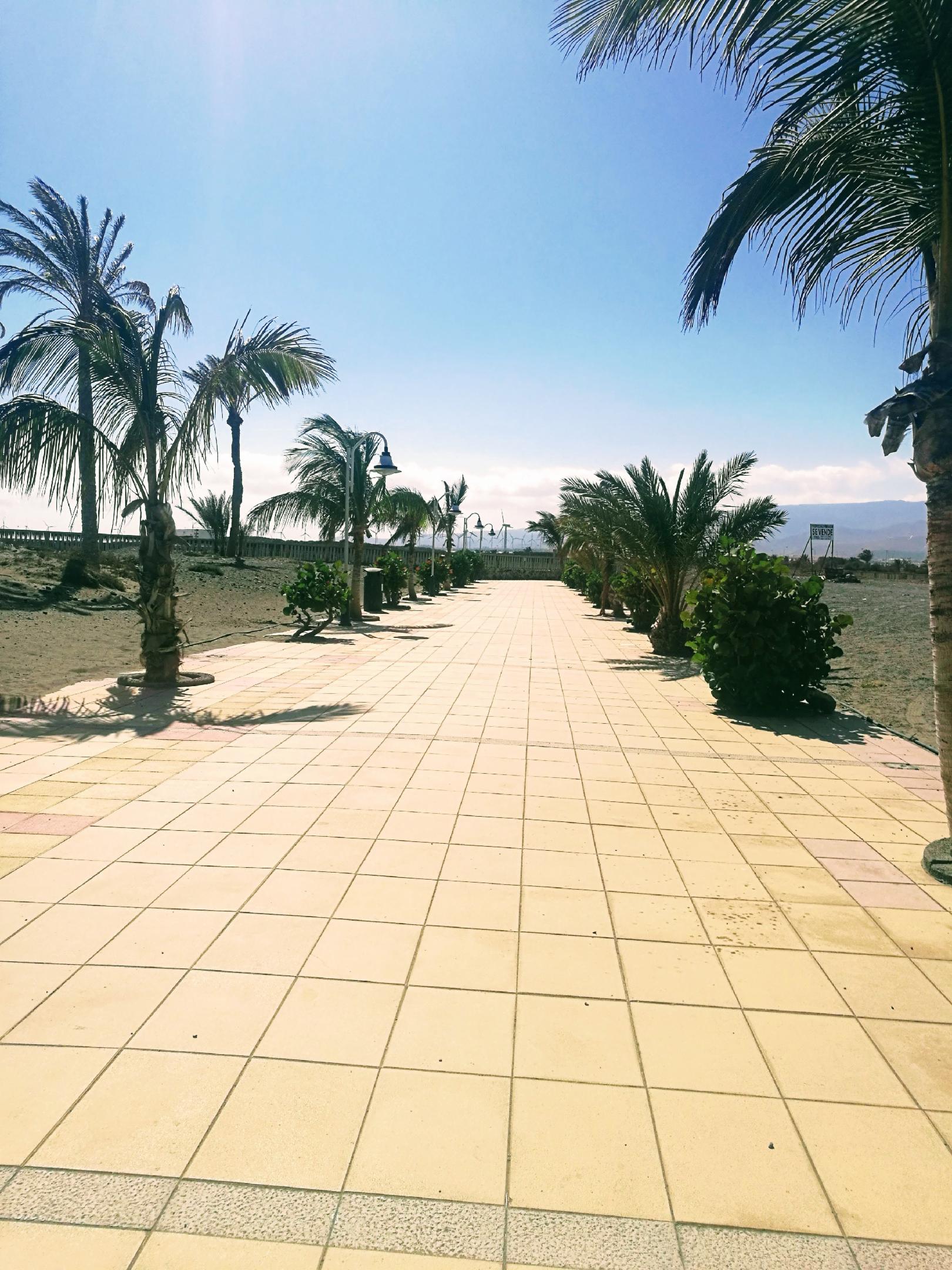 Arinaga beach photo