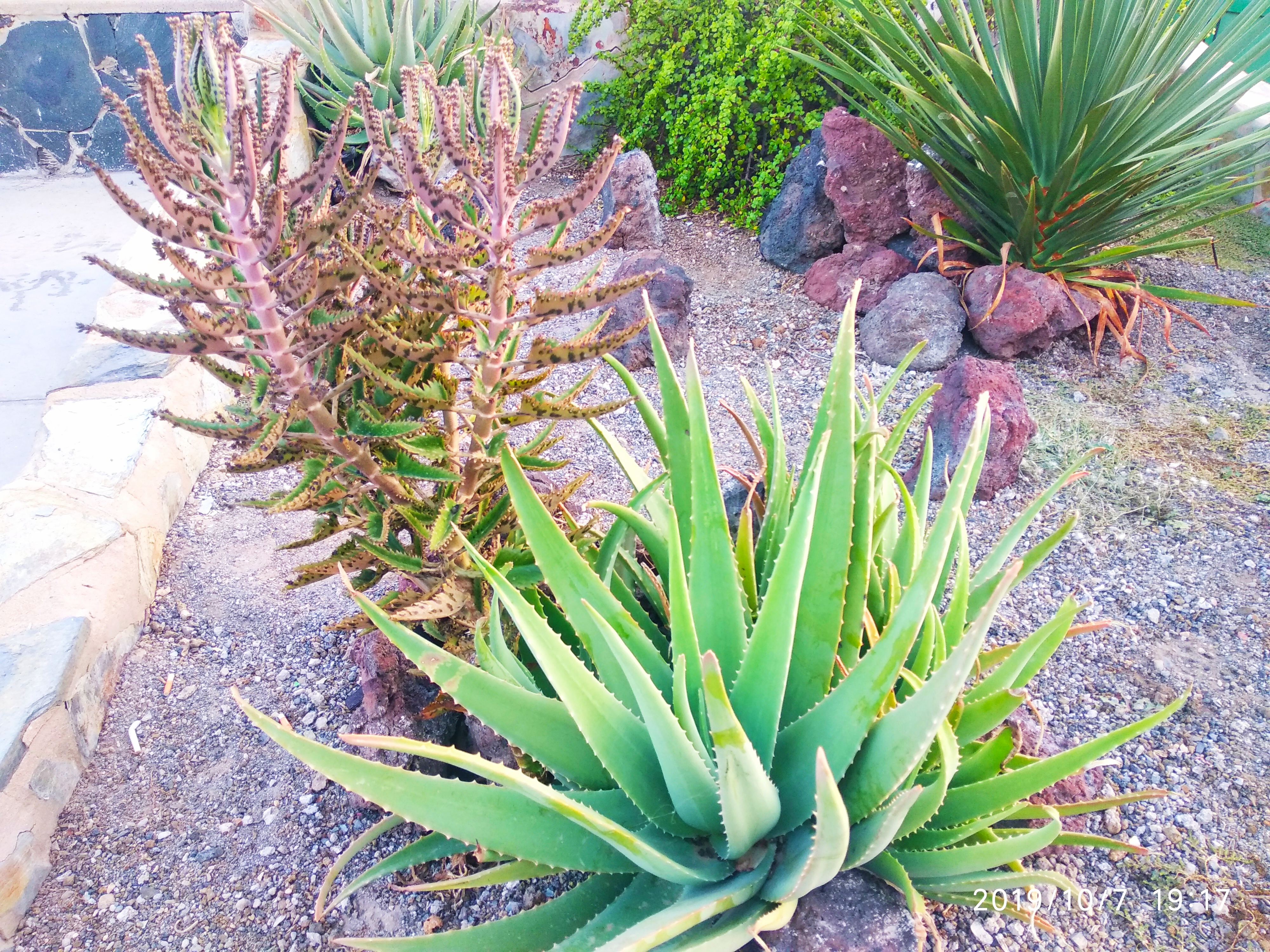 Apartamento Calma Suites Sonnenland 21